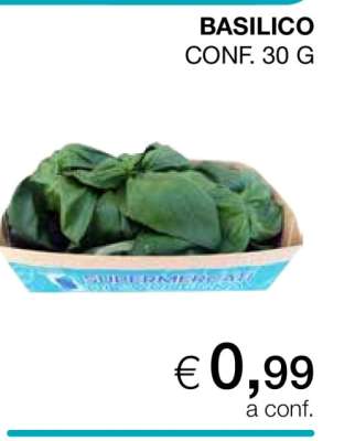 Basilico