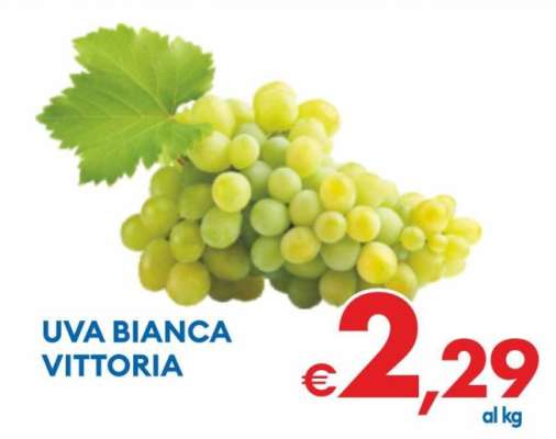 Uva Bianca Vittoria
