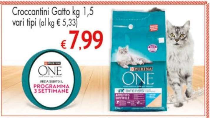 Croccantini Gatto kg 1,5