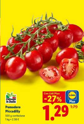 Pomodoro Piccadilly