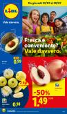 leaflet