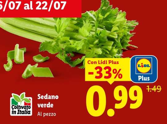 Sedano Verde