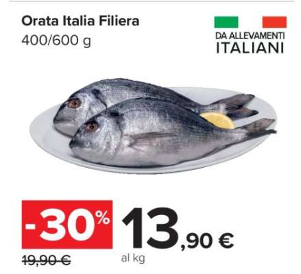 Orata Italia Filiera