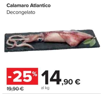 Calamaro Atlantico