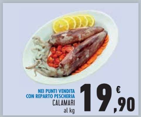 CALAMARI