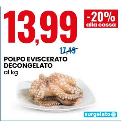 POLPO EVISCERATO DECONGELATO