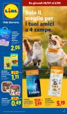 leaflet