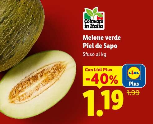 Melone verde Piel de Sapo