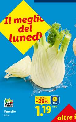 Finocchio
