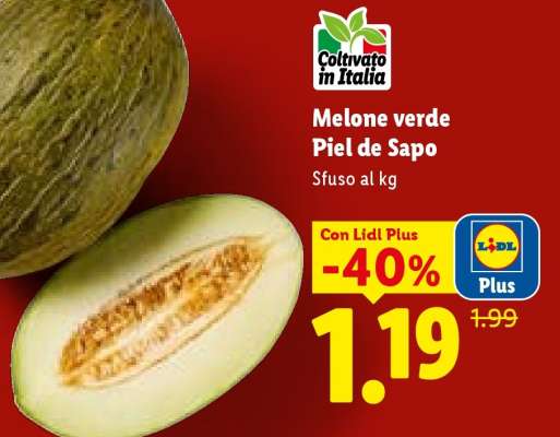Melone verde Piel de Sapo