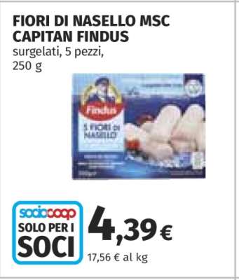 FIORI DI NASELLO MSC CAPITAN FINDUS