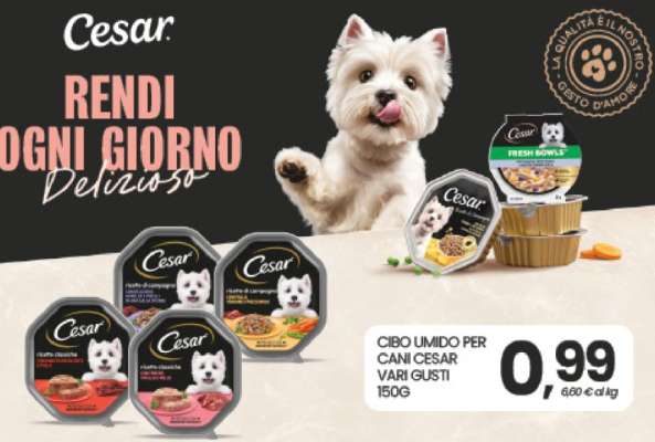 Cesar