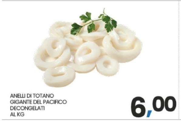 ANELLI DI TOTANO GIGANTE DEL PACIFICO