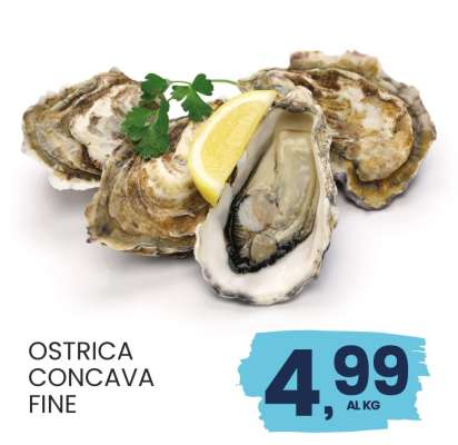OSTRICA CONCAVA FINE