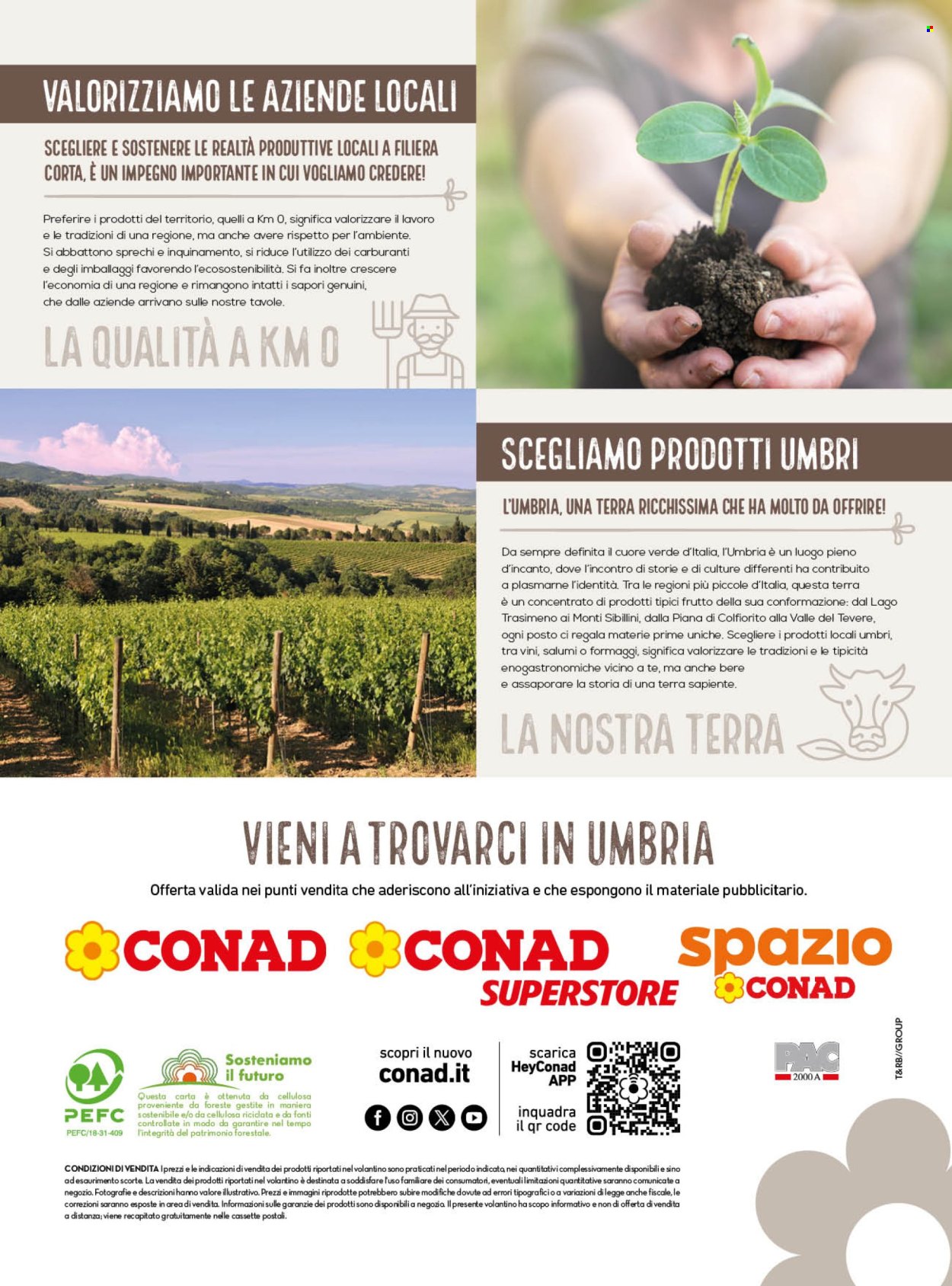 Volantino Conad - 1/8/2026 - 31/8/2026. Pagina 12