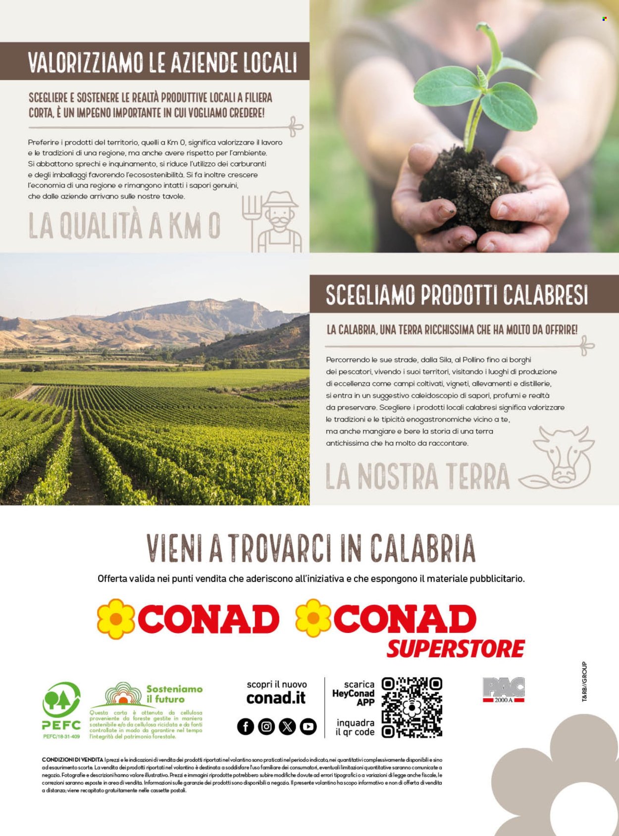 Volantino Conad - 1/8/2026 - 31/8/2026. Pagina 12
