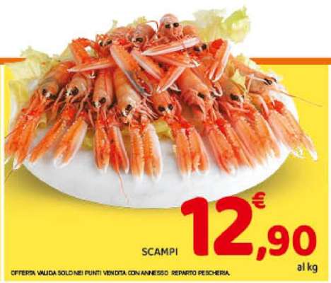 Scampi
