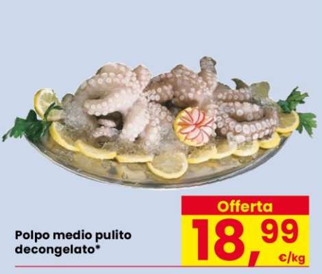 Polpo medio pulito decongelato
