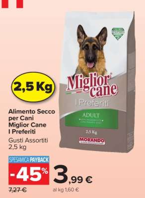 Miglior Cane I Preferiti