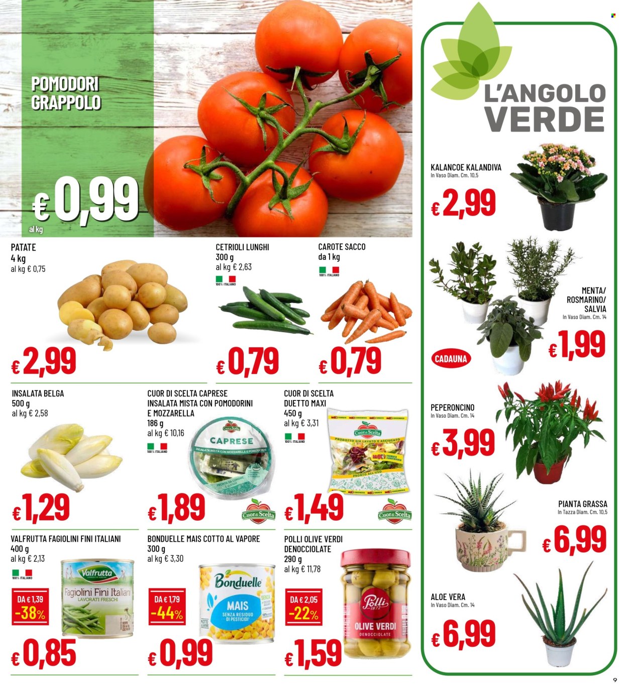 Volantino Famila - 6/8/2026 - 16/8/2026. Pagina 9