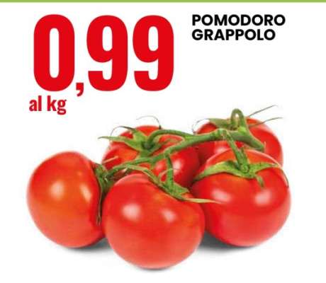 Pomodoro Grappolo