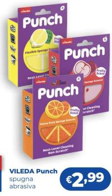 VILEDA Punch