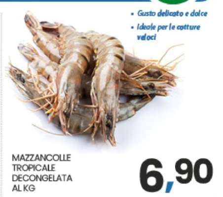 MAZZANCOLLE TROPICALE DECONGELATA AL KG
