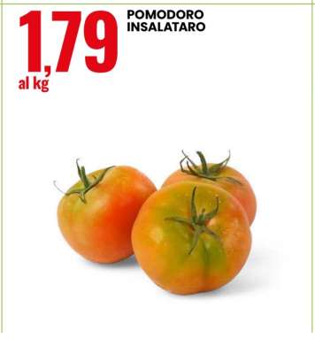 POMODORO INSALATARO