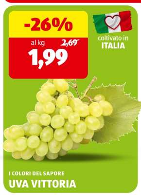Uva Vittoria