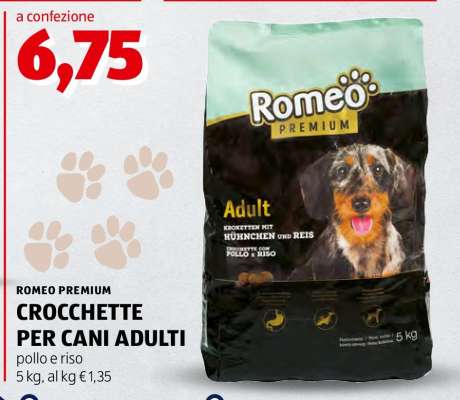 ROMEO PREMIUM