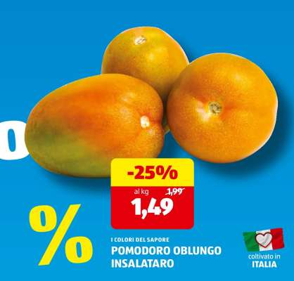 POMODORO OBLUNGO INSALATARO