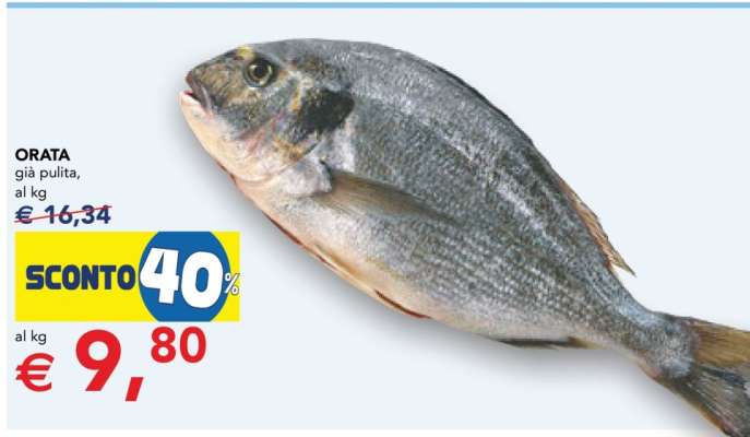 Orata