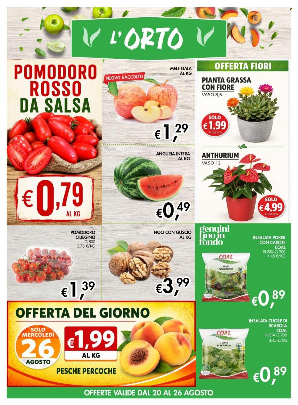 Volantino COAL - 13/8/2026 - 26/8/2026. Pagina 3