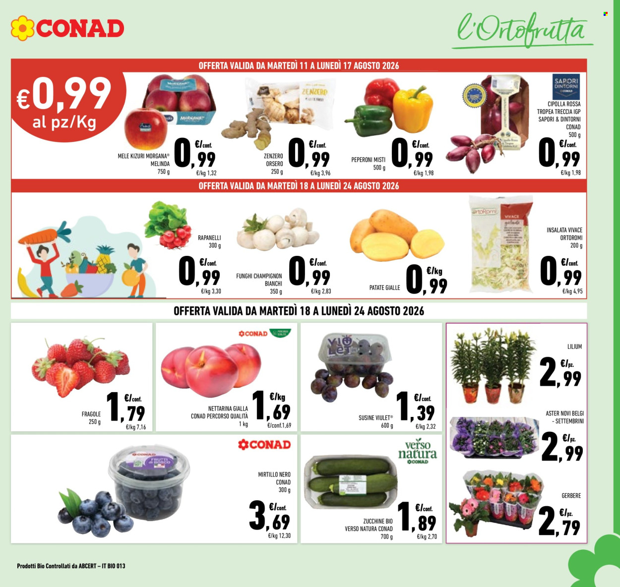 Volantino Conad - 11/8/2026 - 24/8/2026. Pagina 3