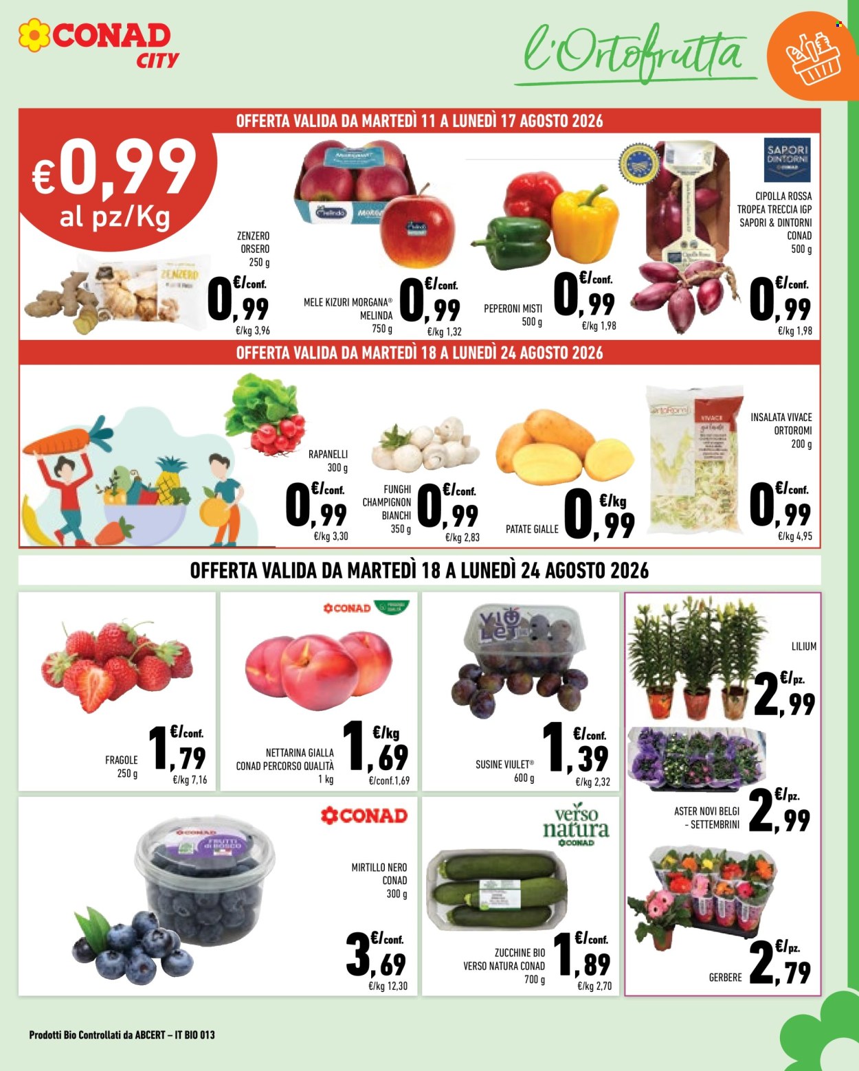 Volantino Conad - 11/8/2026 - 24/8/2026. Pagina 3