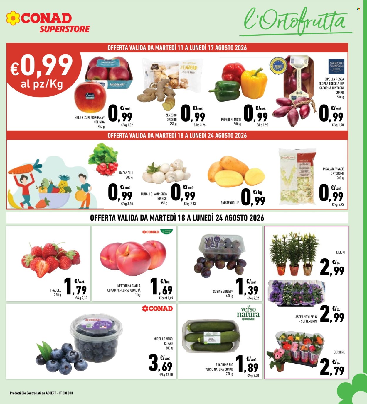 Volantino Conad Superstore - 11/8/2026 - 24/8/2026. Pagina 5