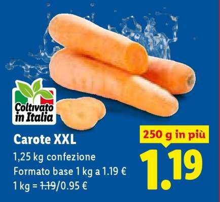Carote XXL