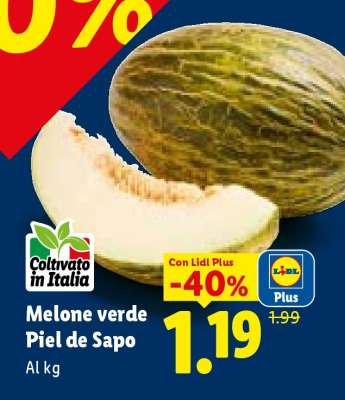 Melone verde Piel de Sapo