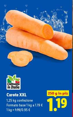 Carote XXL