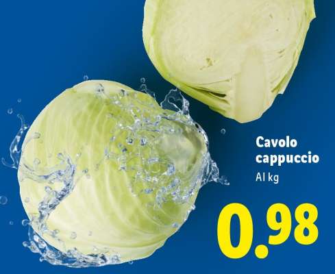 Cavolo Cappuccio
