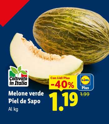 Melone verde Piel de Sapo