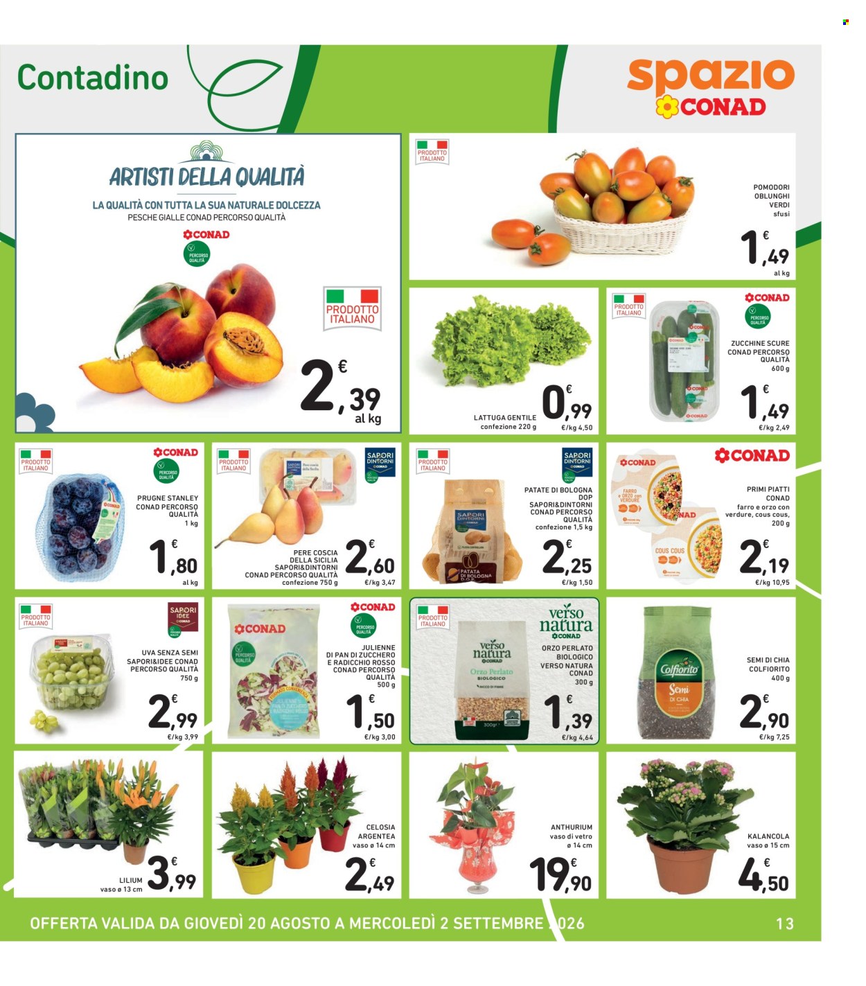 Leták Spazio Conad - 20.8.2026 - 2.9.2026. Strana 13