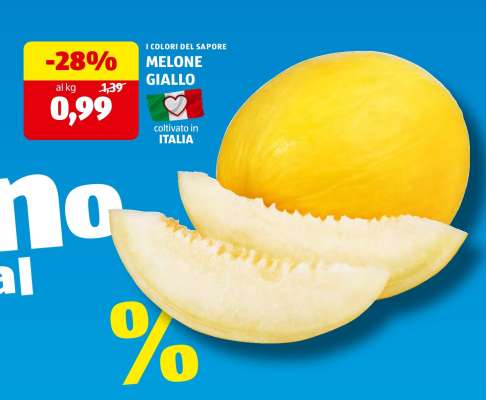 Melone Giallo