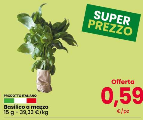 Basilico a mazzo