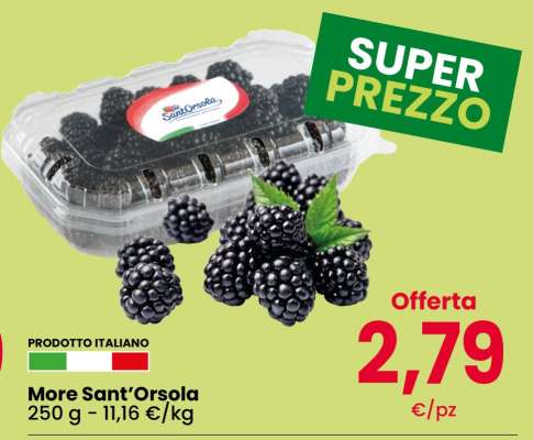 More Sant’Orsola