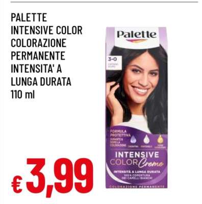 Palette Intensive Color