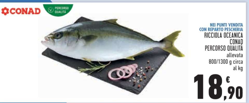 RICCIOLA OCEANICA CONAD PERCORSO QUALITÀ