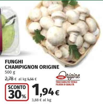 Funghi Champignon Origine