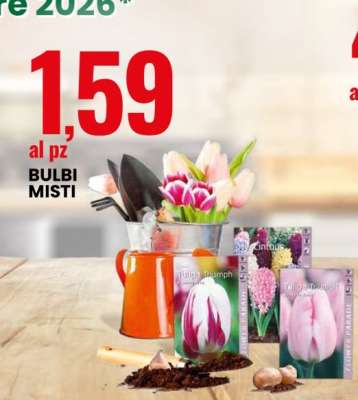 Bulbi Misti