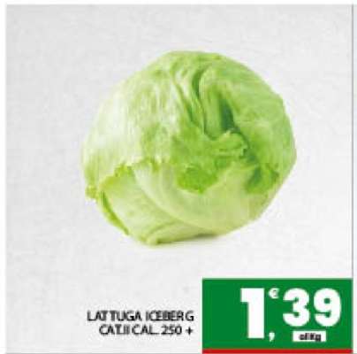 Lattuga Iceberg